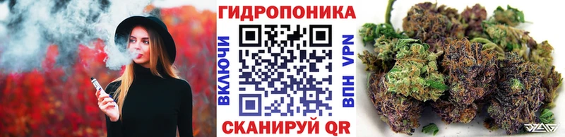 Бошки марихуана OG Kush  Купить закладки  Ветлуга 